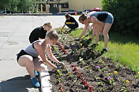 Архангельские школьники могут подзаработать на посадке цветов