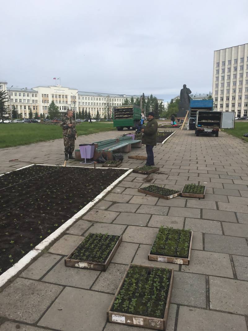 Администрация Архангельска • Около пяти тысяч ярких цветов украсят площадь  Ленина - 05.06.2018 12:23:03